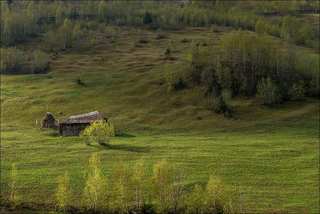 Fundal