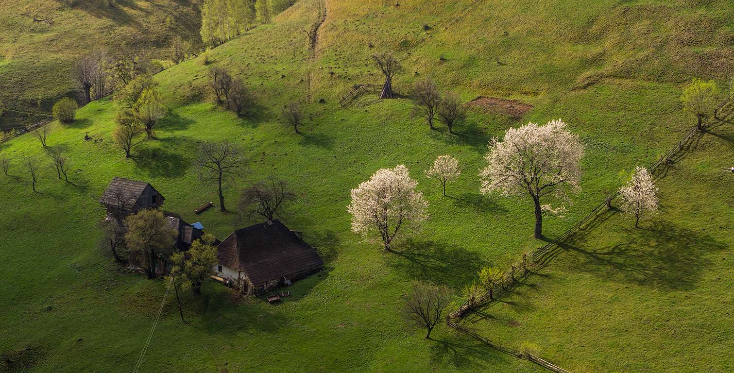 Fundal