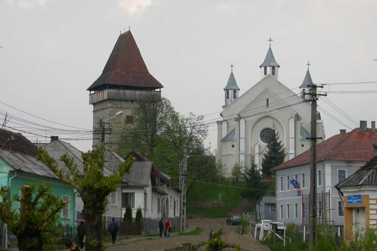 Fundal