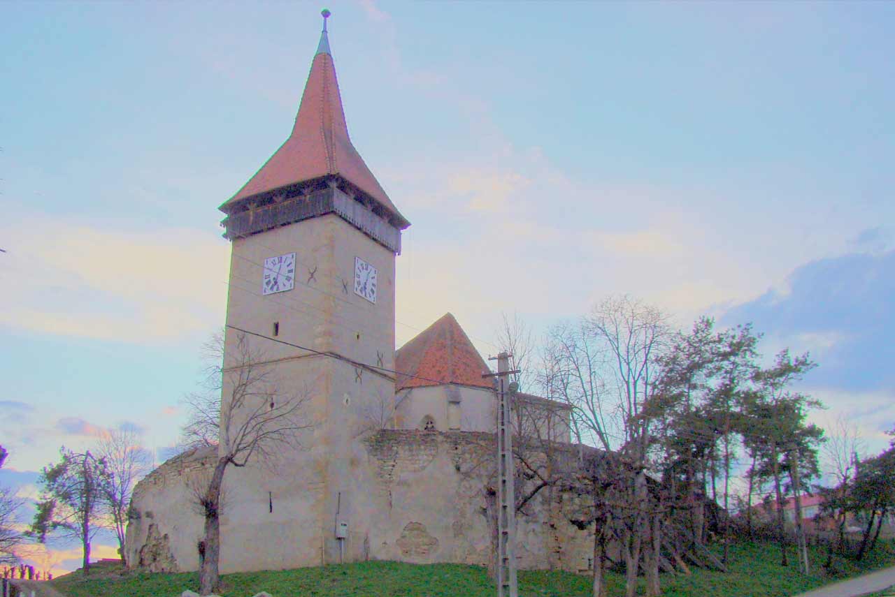 Fundal