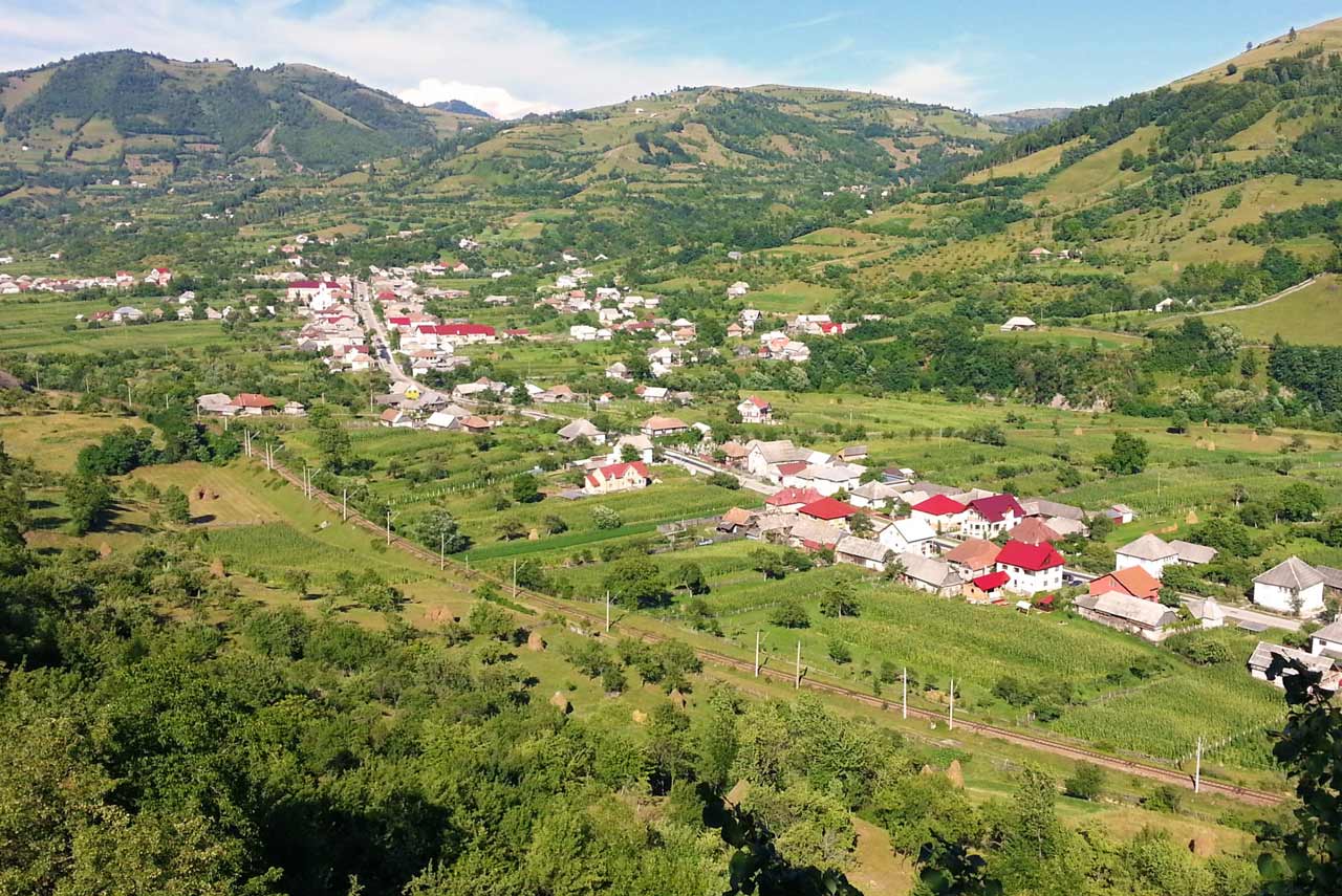 Fundal
