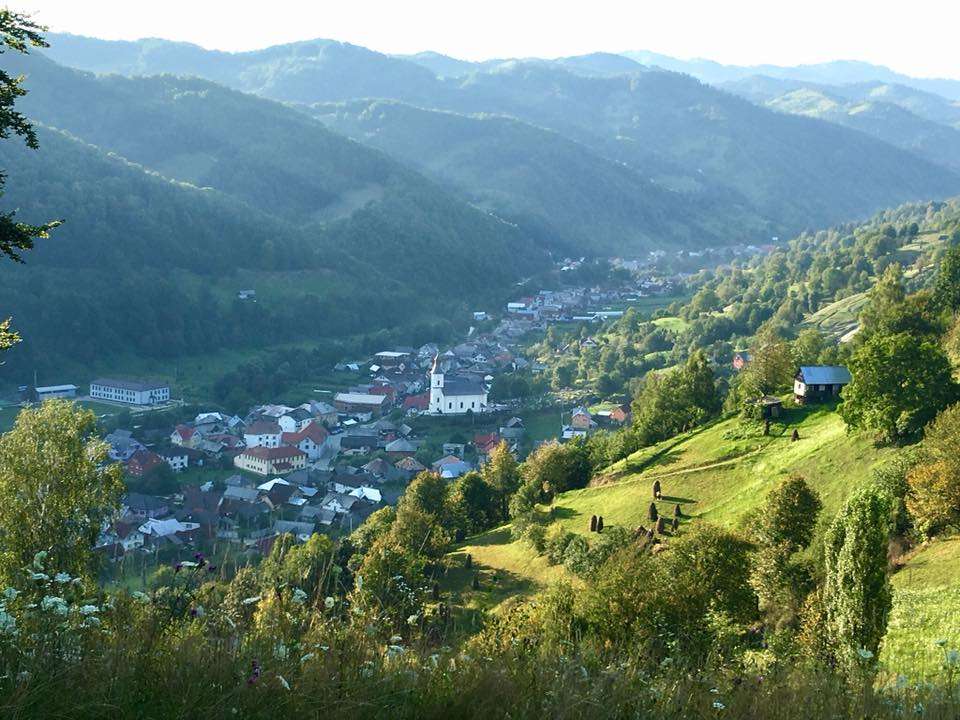 Fundal