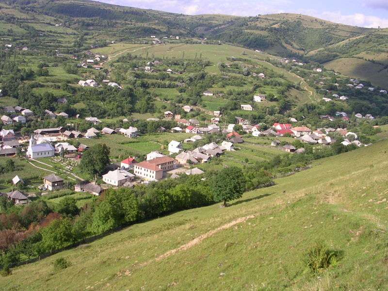 Fundal