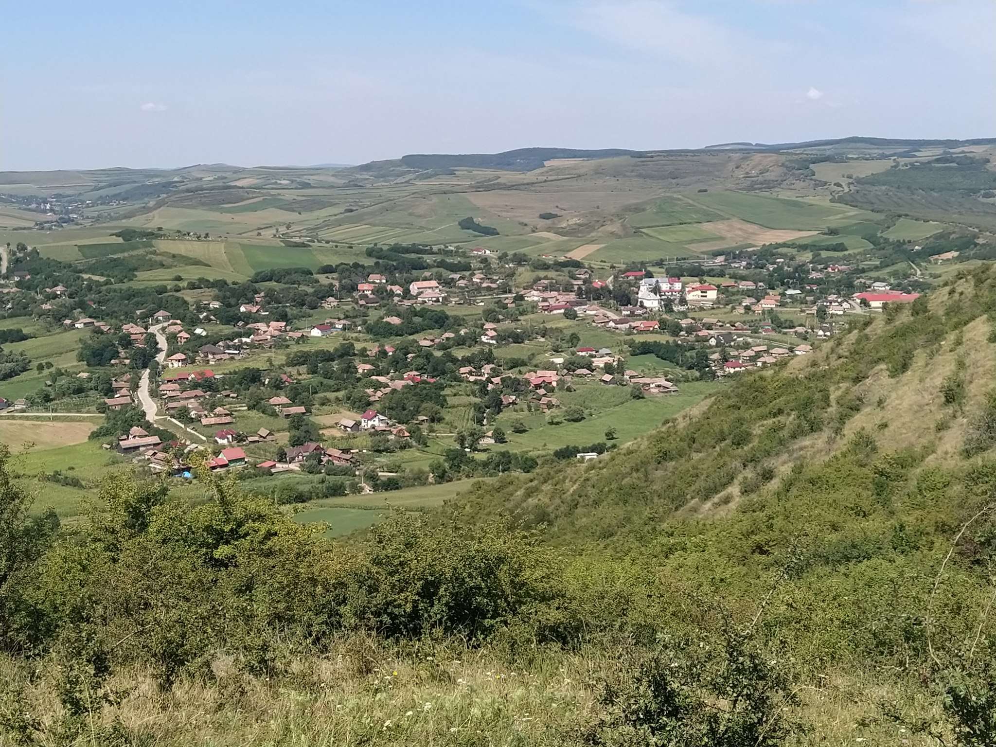 Fundal
