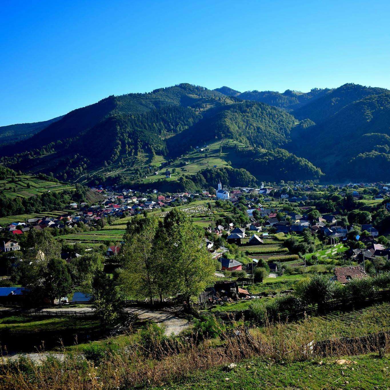 Fundal
