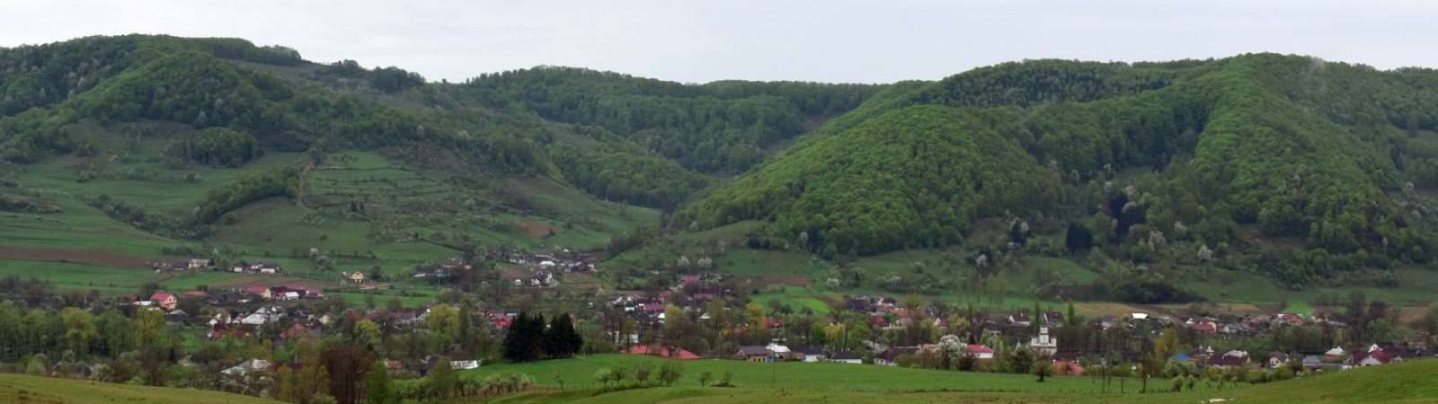 Fundal