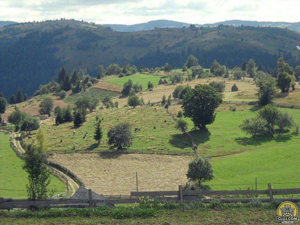 Fundal