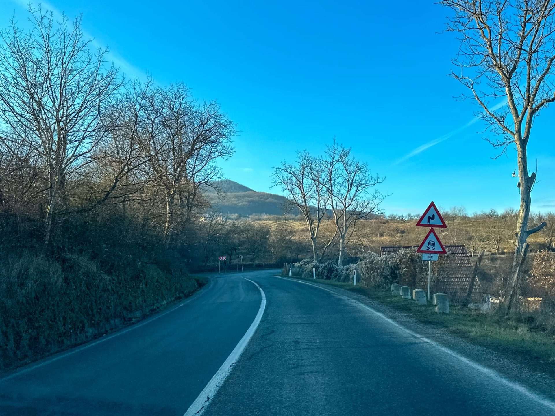 Fundal