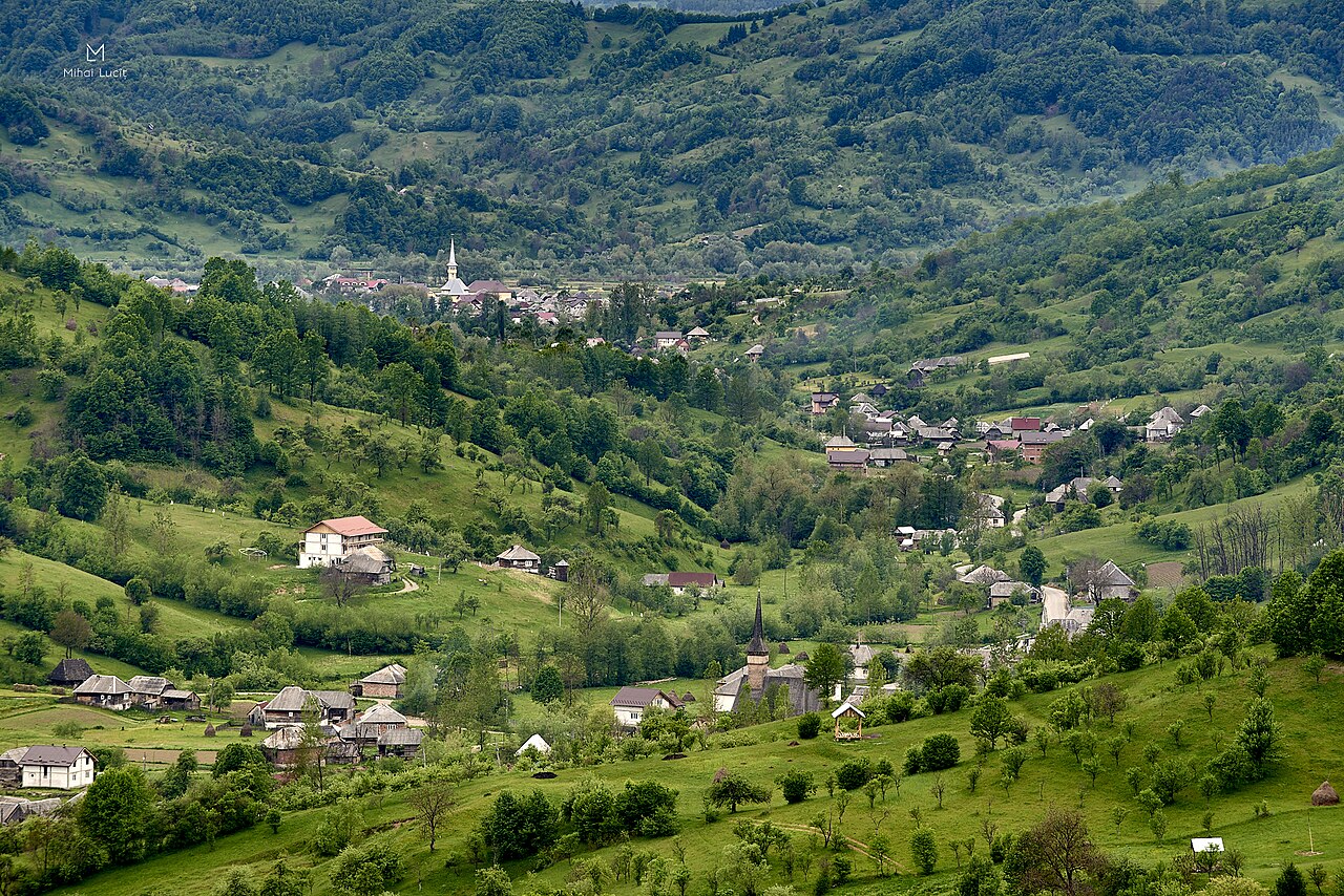 Fundal