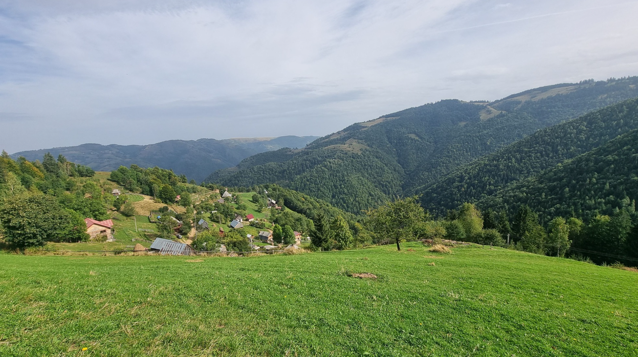 Fundal
