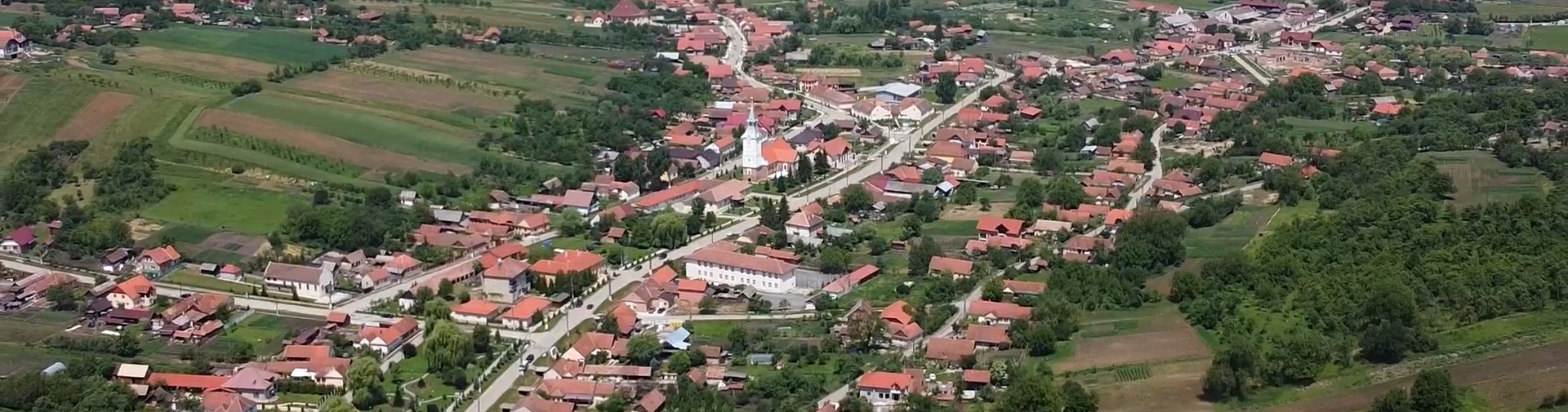 Fundal