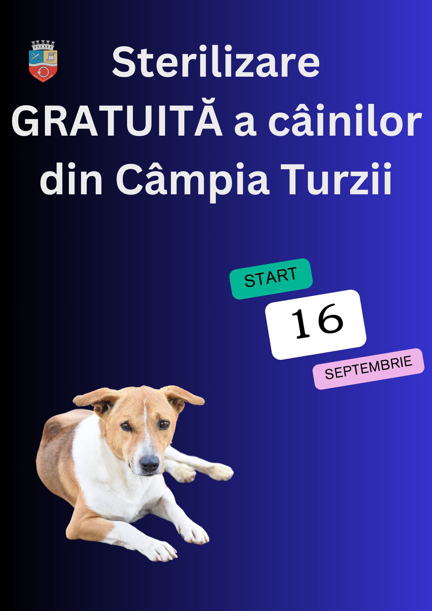 Fundal