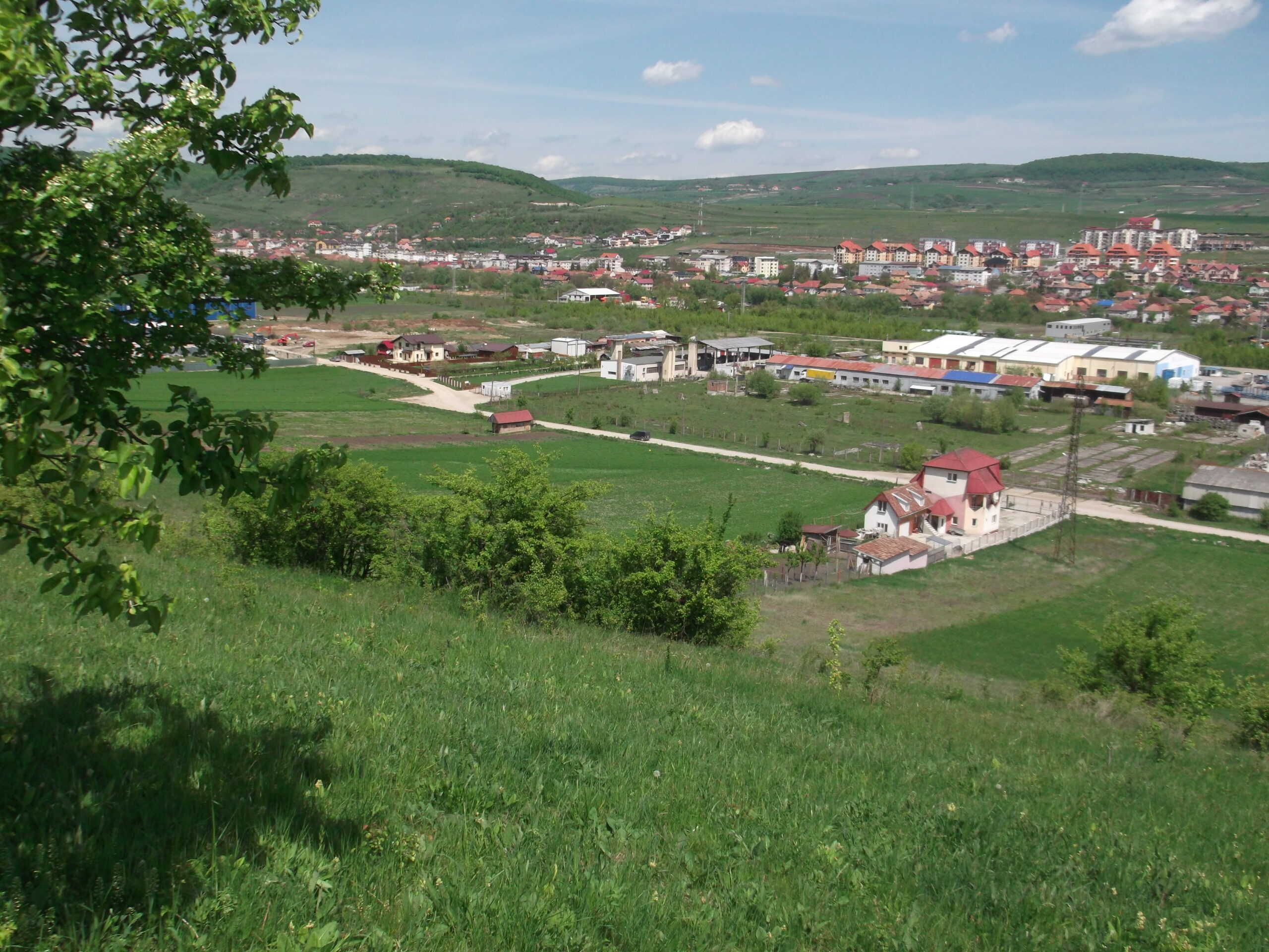 Fundal