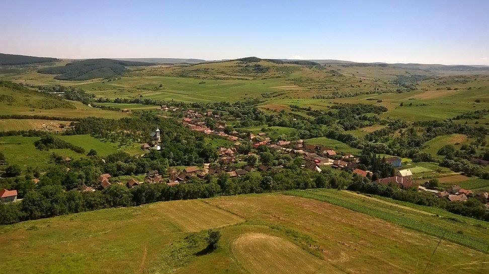 Fundal