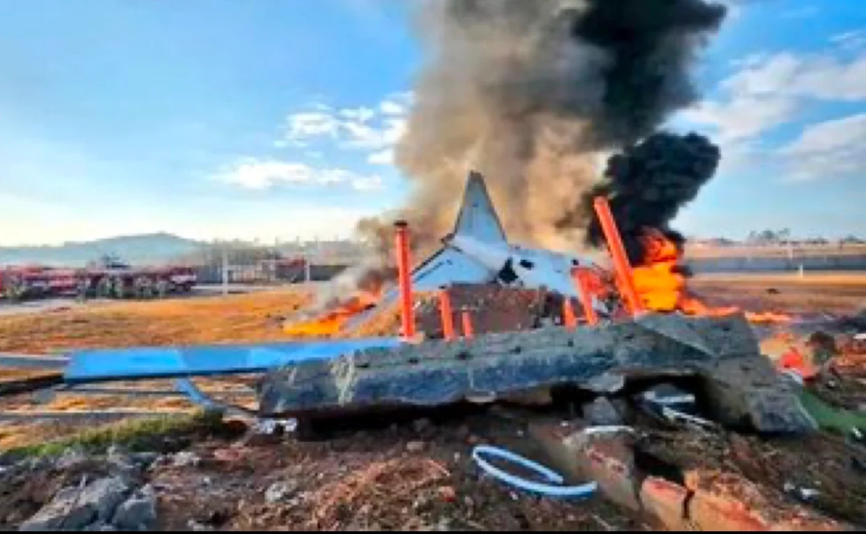 Fundal