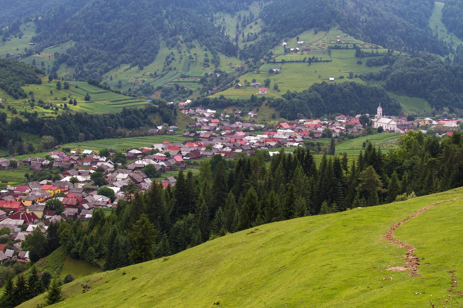 Fundal