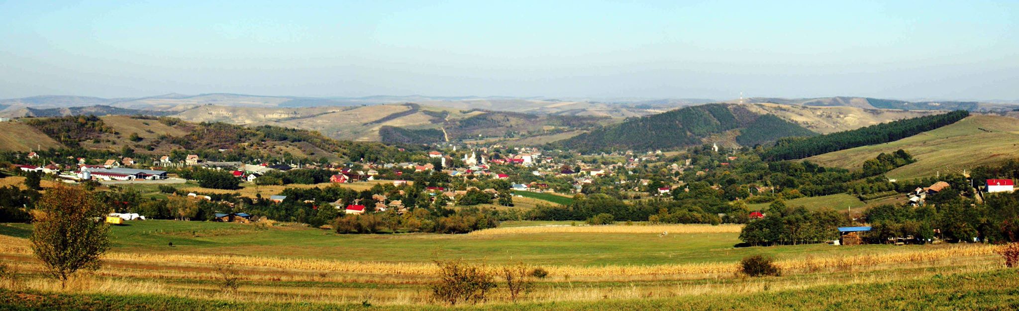 Fundal