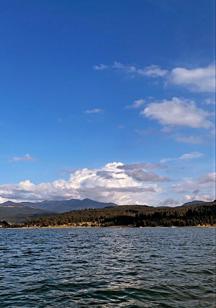 Fundal