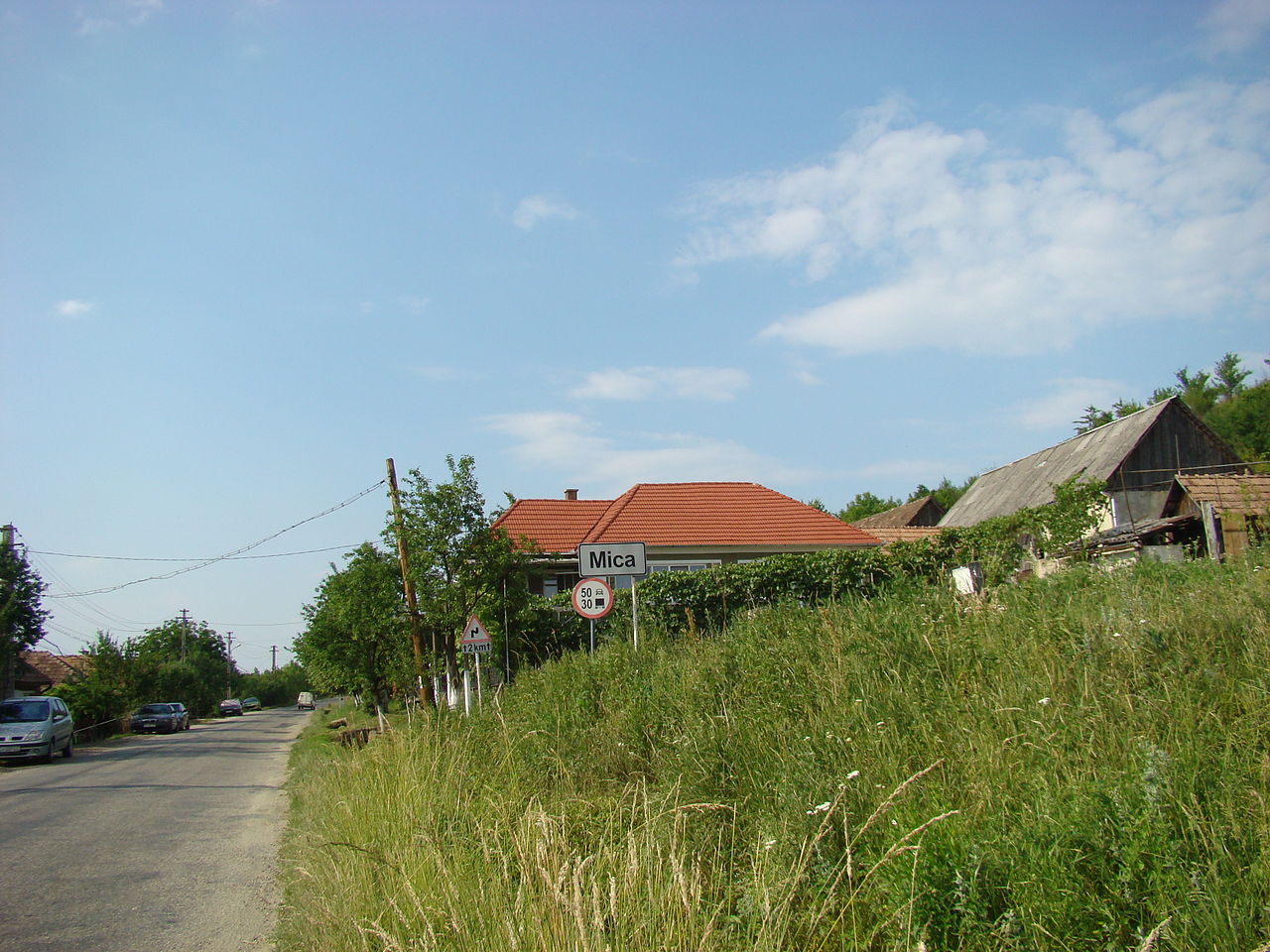Fundal