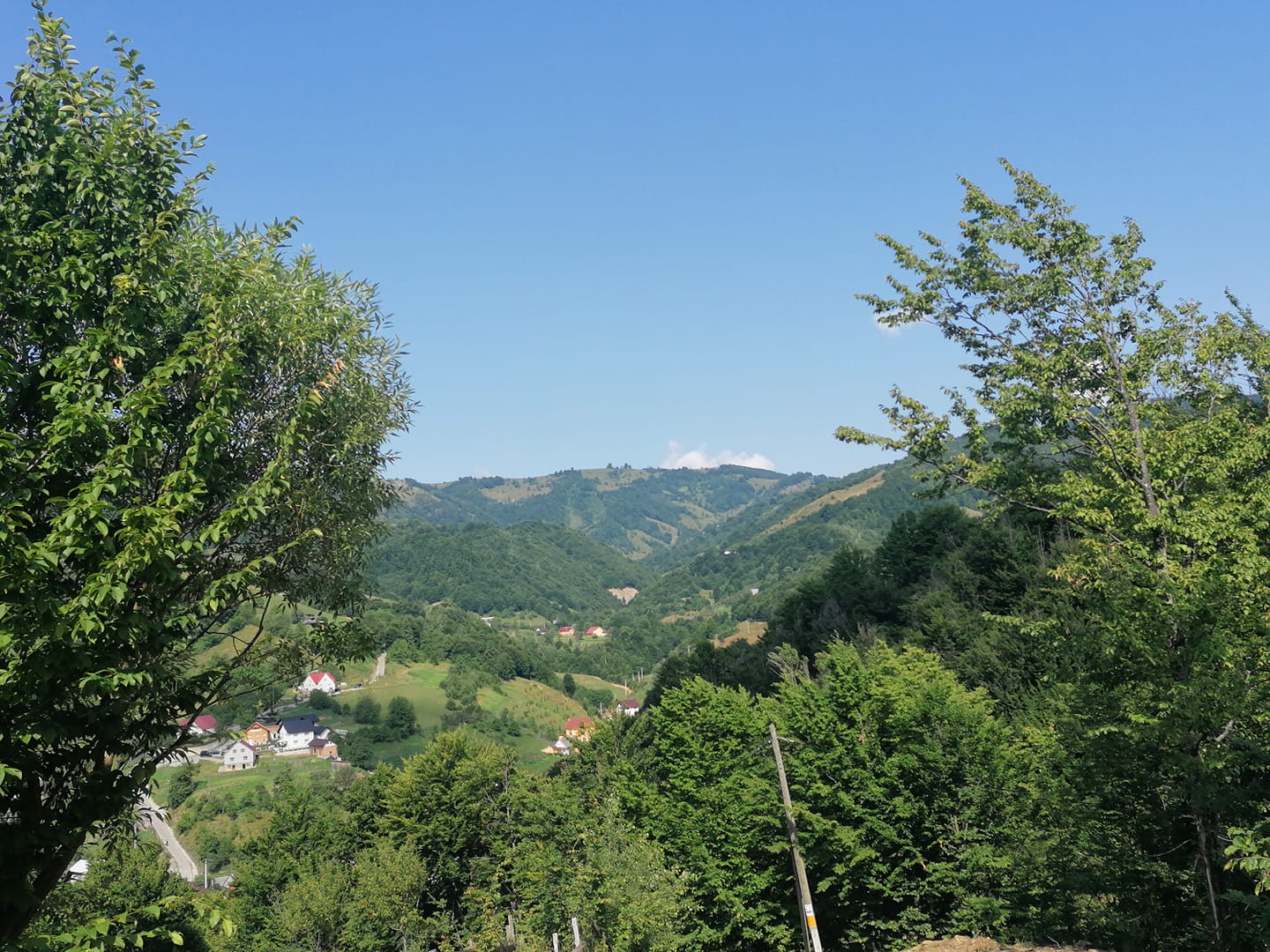 Fundal