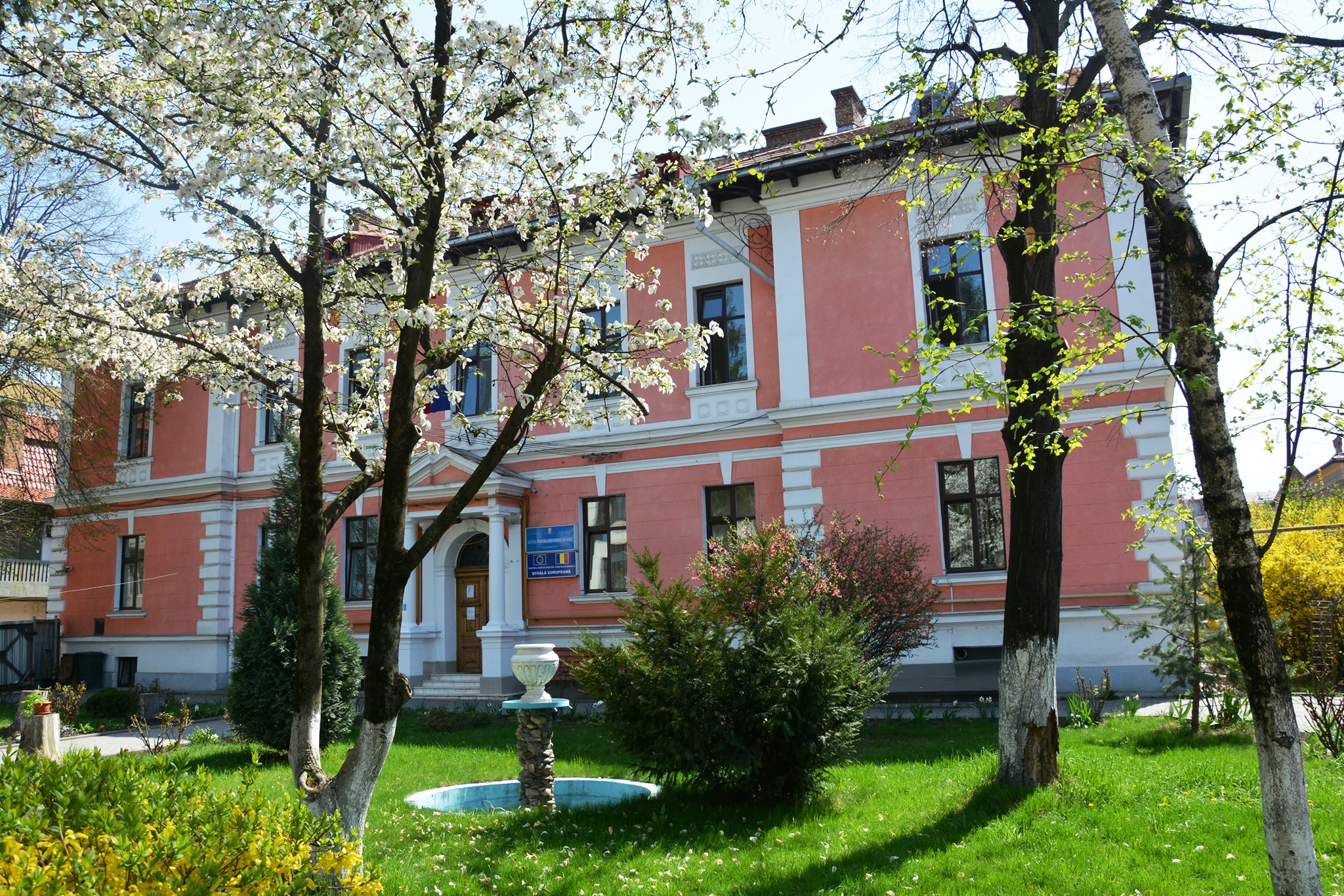 Fundal