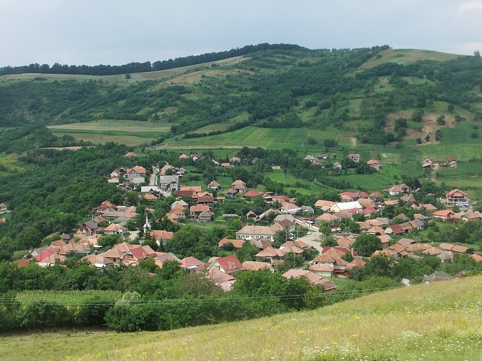 Fundal