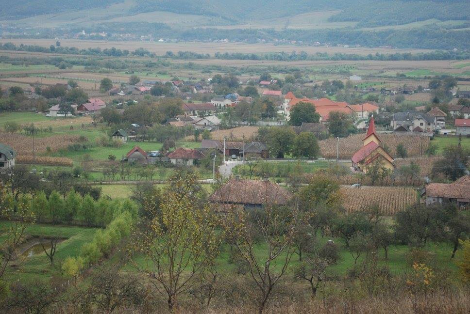 Fundal