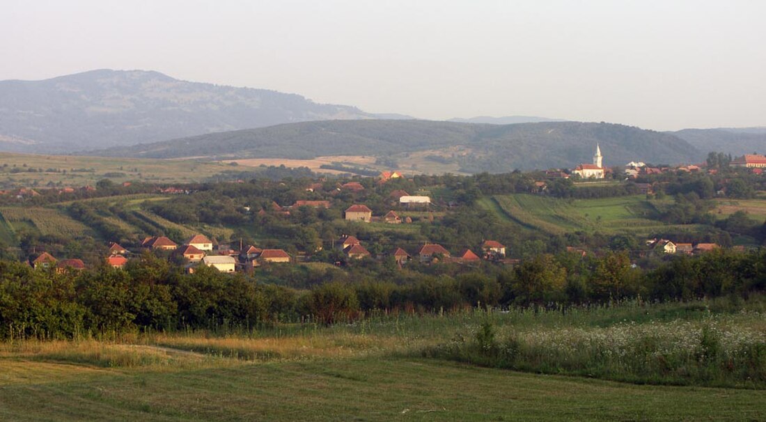 Fundal