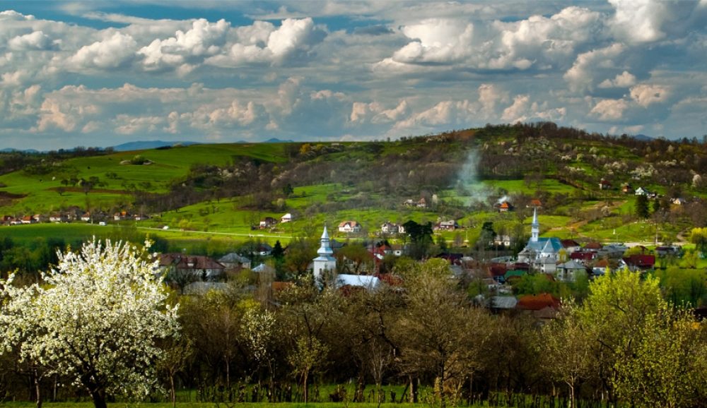 Fundal