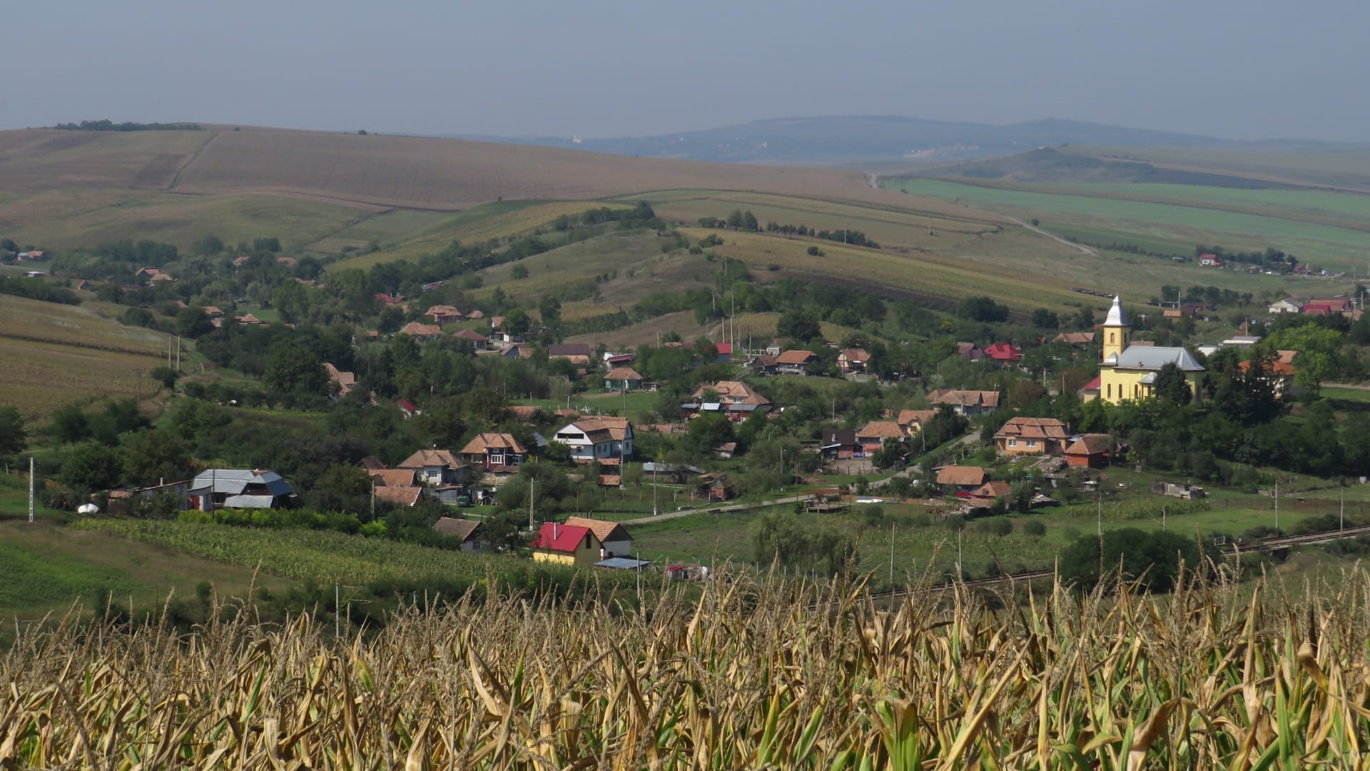 Fundal