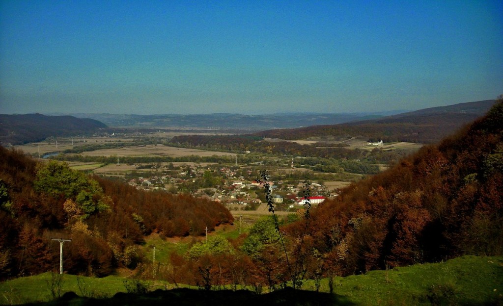 Fundal