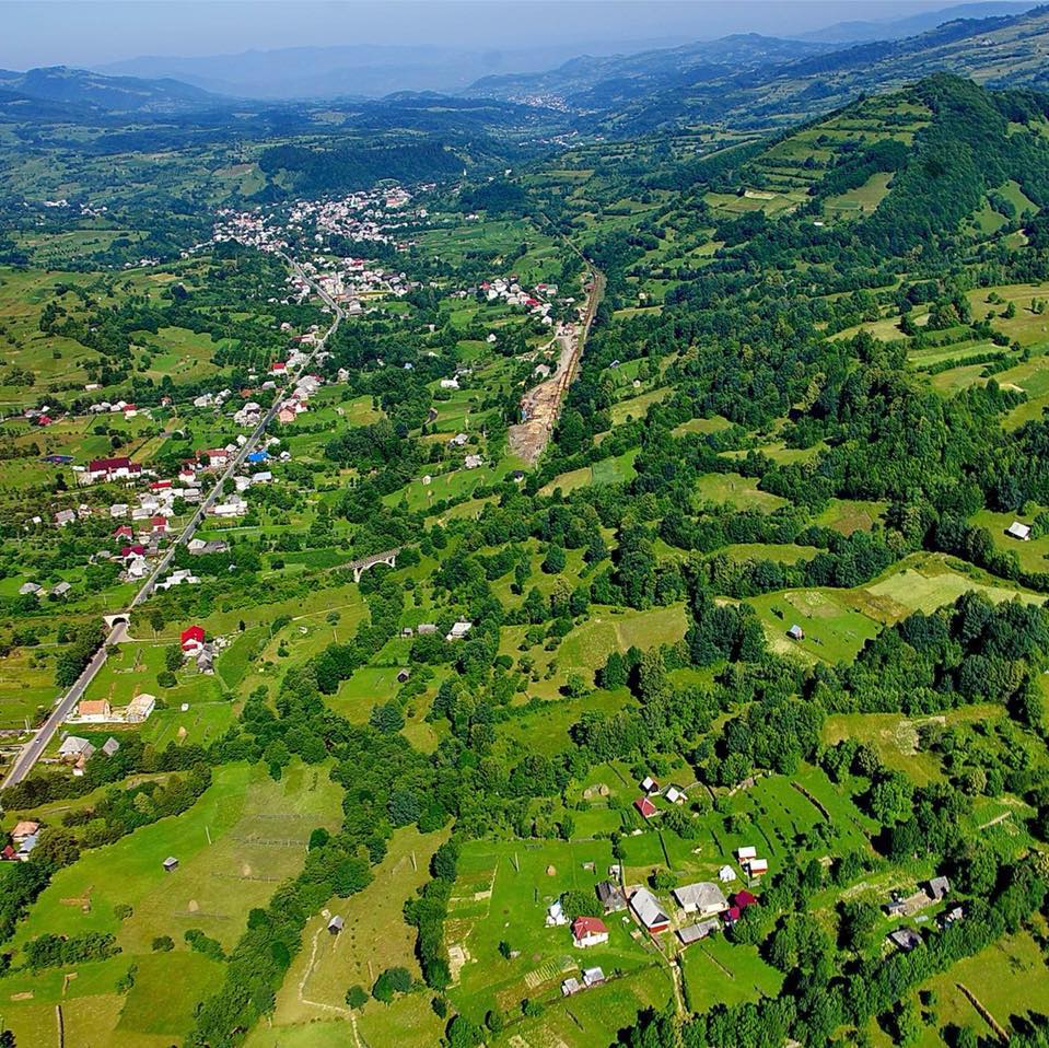 Fundal