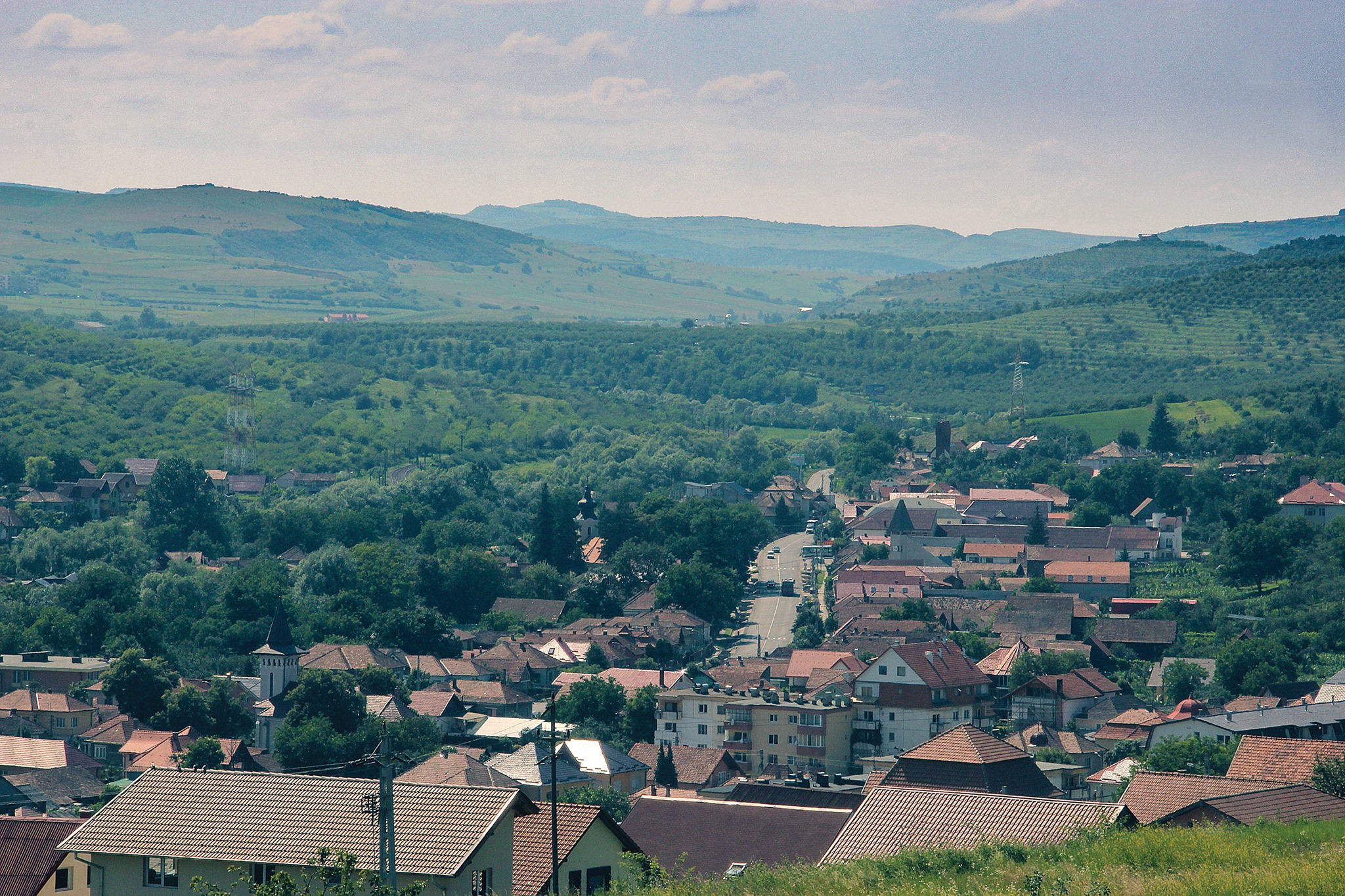 Fundal