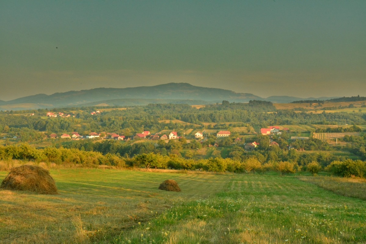 Fundal