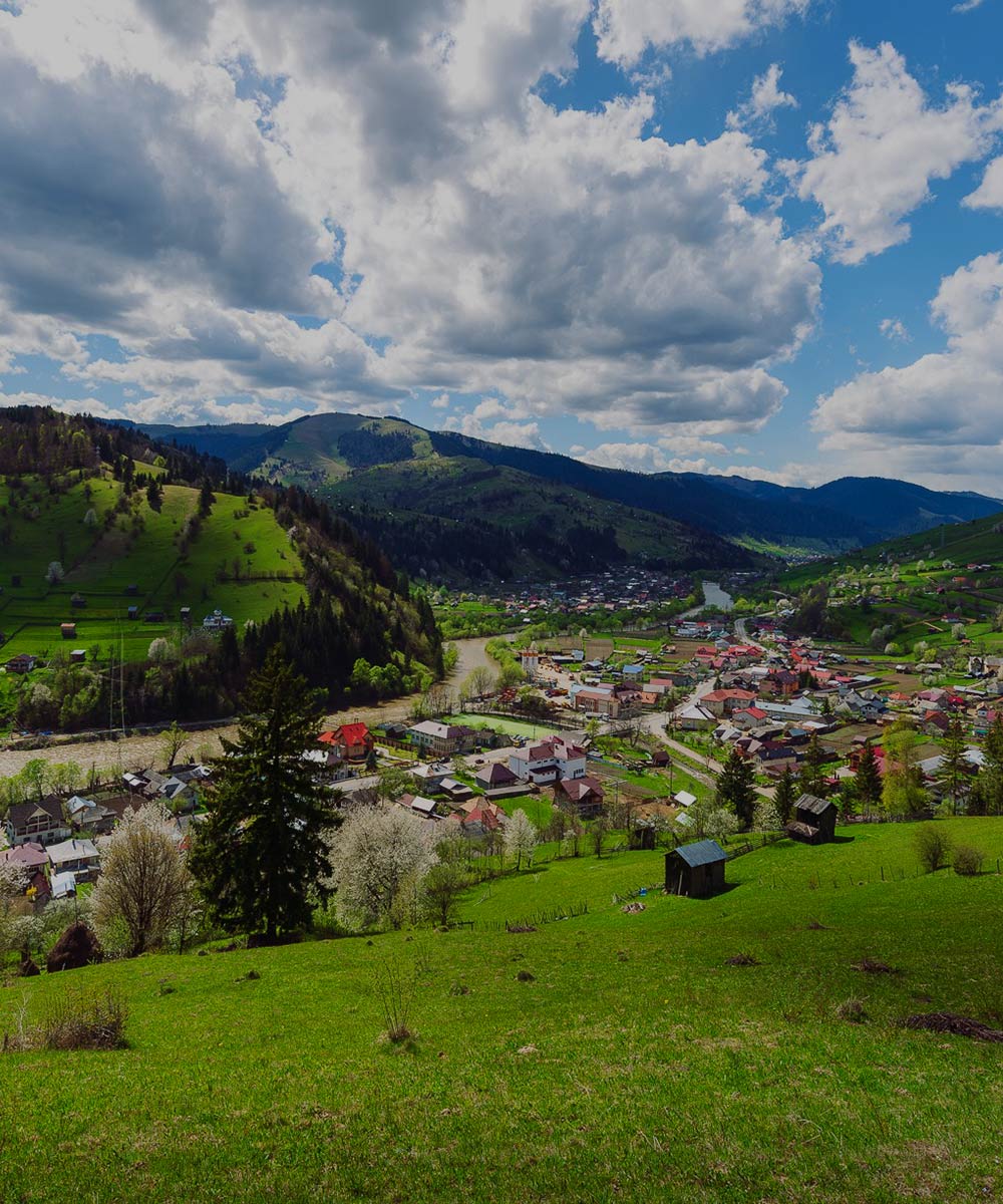 Fundal