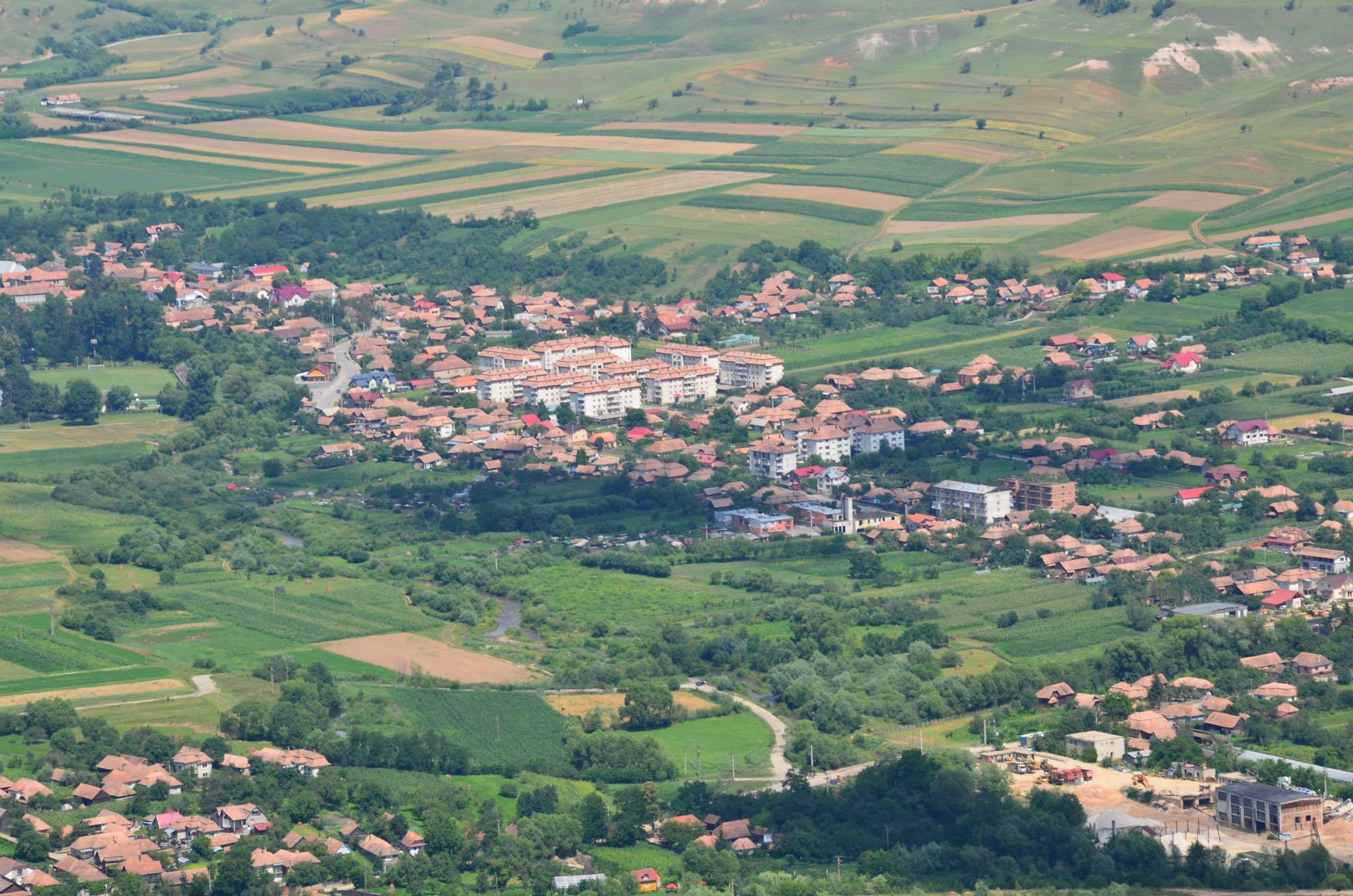 Fundal