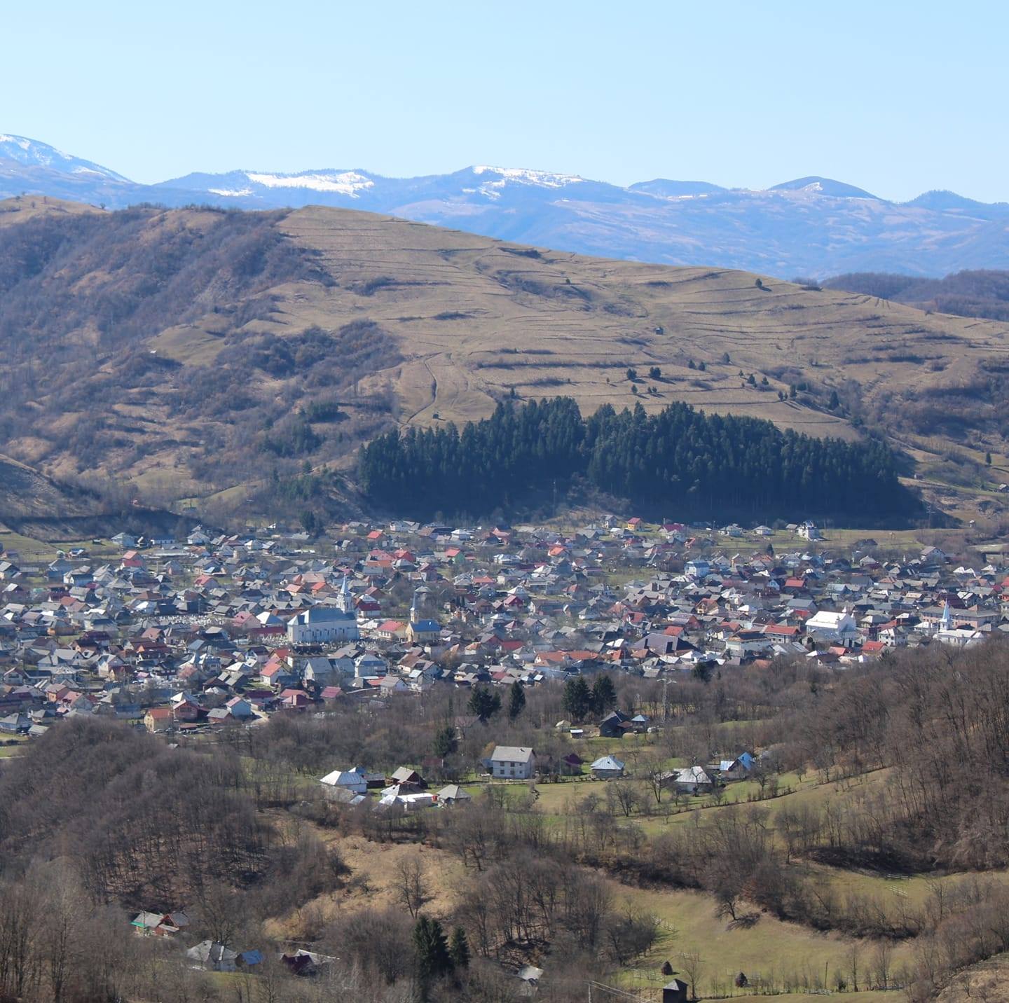 Fundal