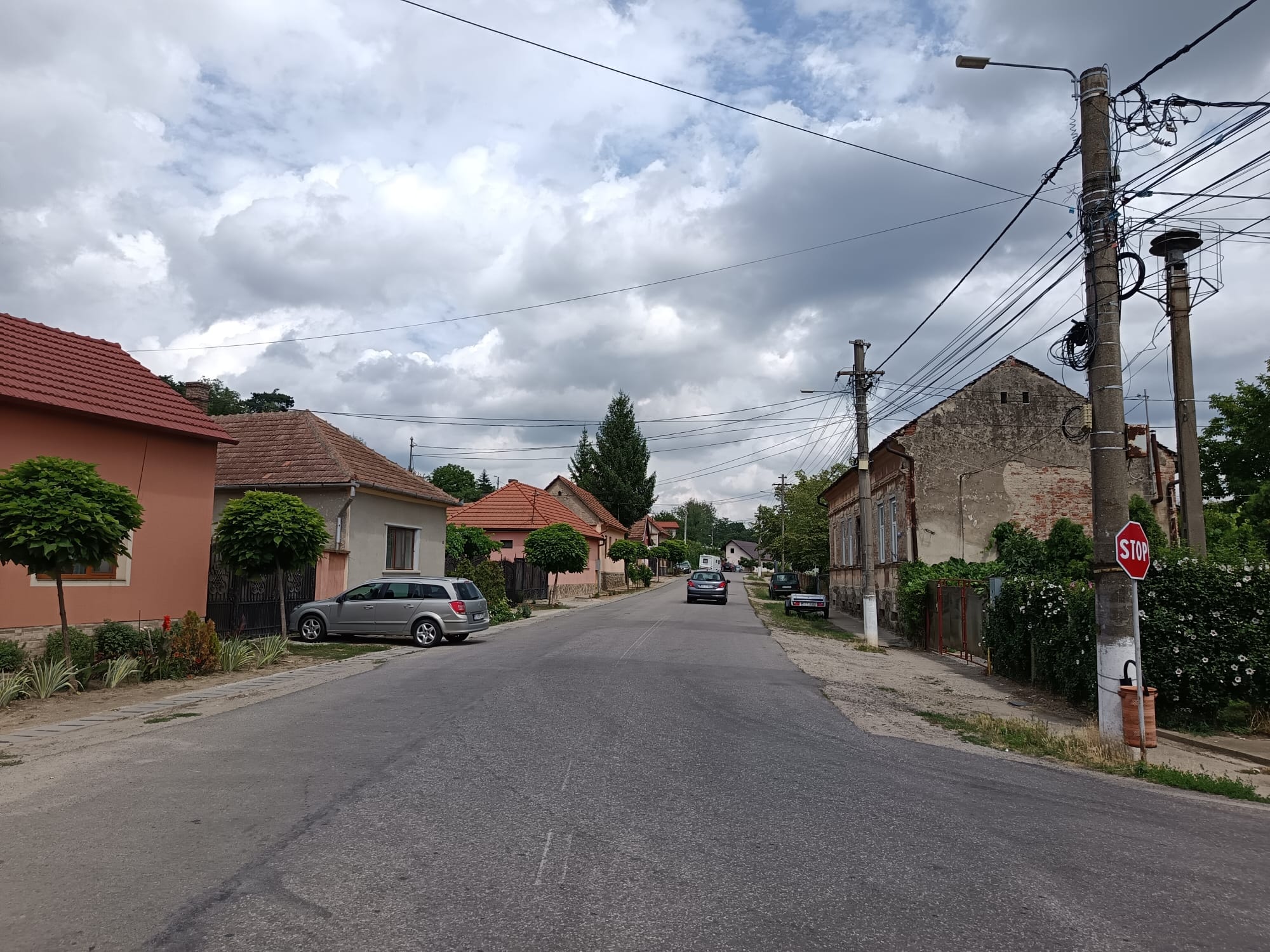 Fundal
