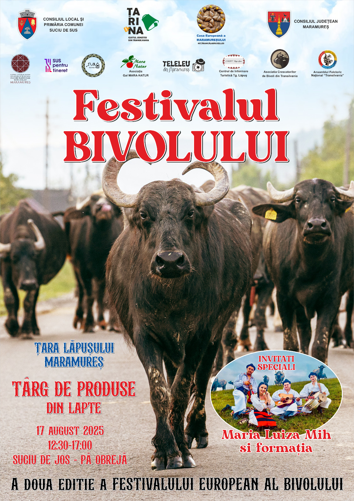 Fundal