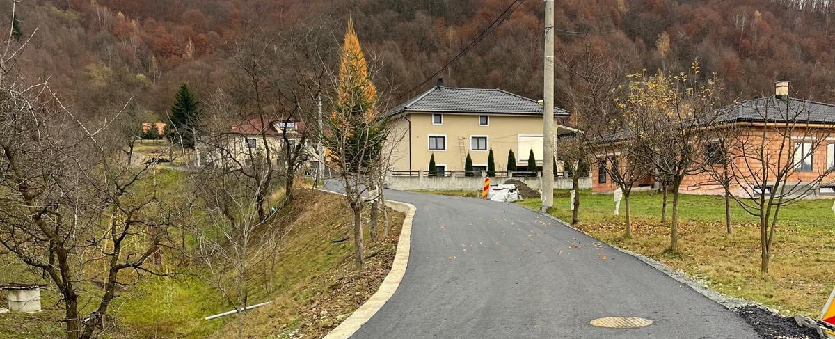 Fundal