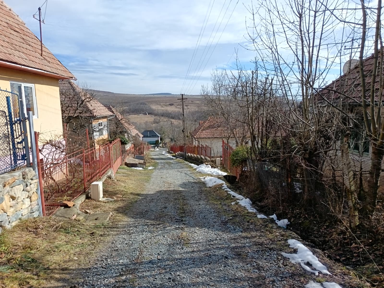 Fundal