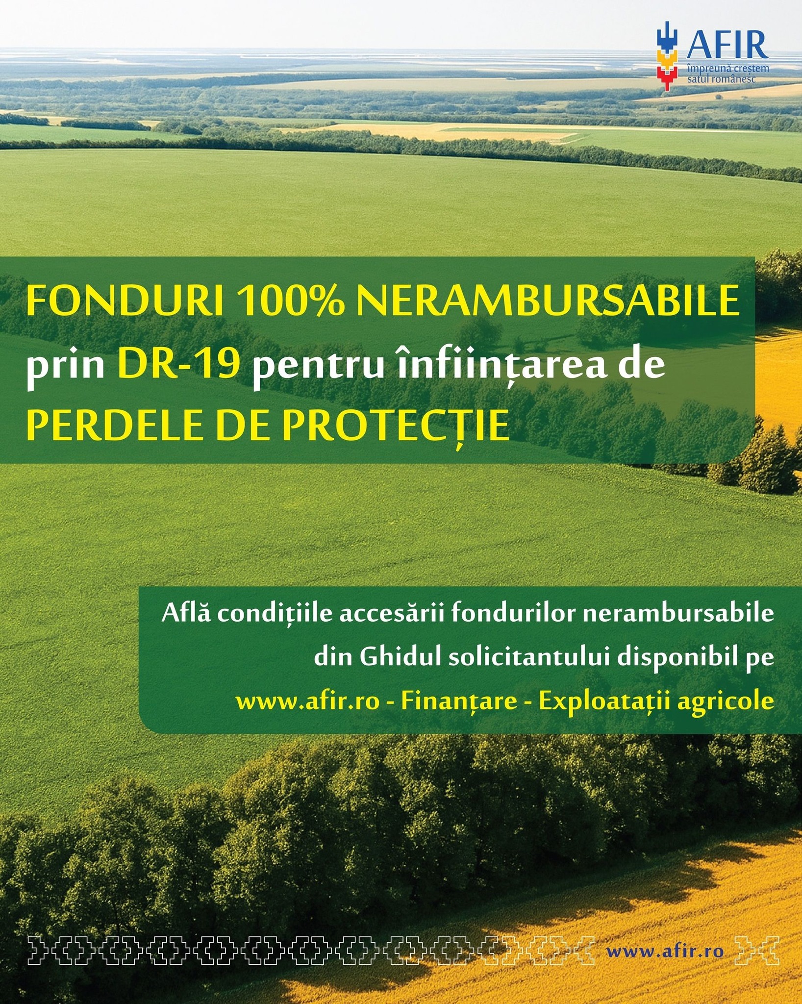 Fundal