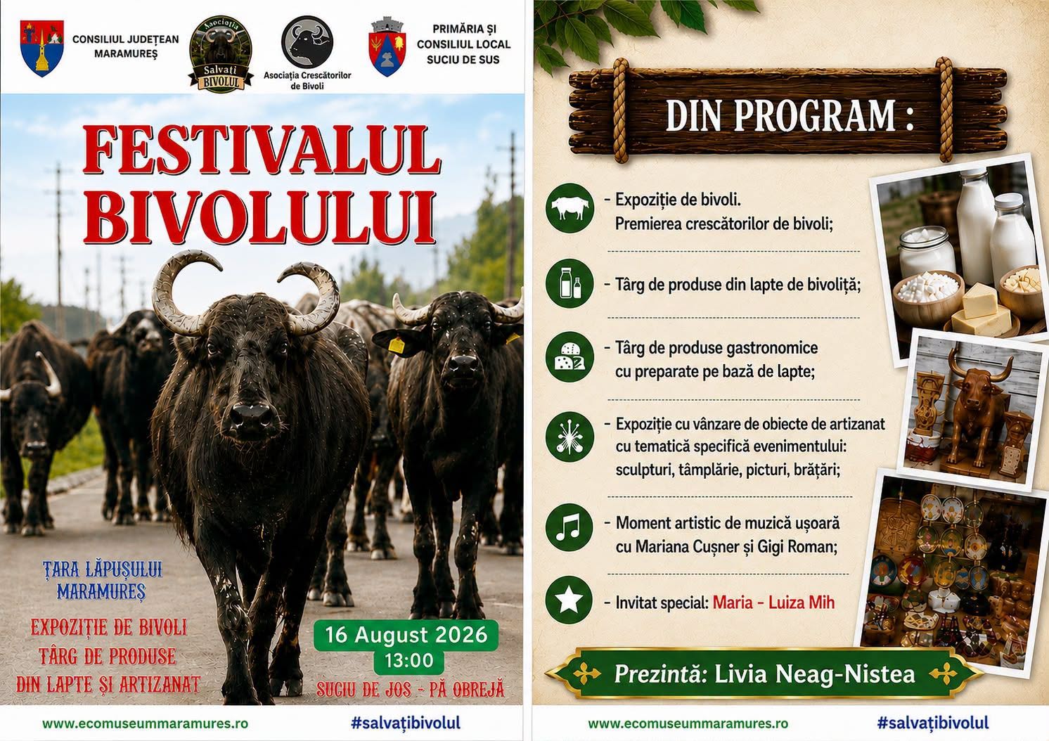 Festivalul Bivolului revine în Maramureș: crescătorii și producătorii locali se întâlnesc la Suciu de Sus pe 16 august!